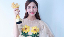 网剧爆红的明星,从网络红人到影视界新星的华丽蜕变