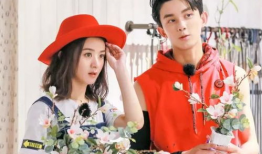 赵丽颖电视剧吧,演绎人生百态，诠释情感深度